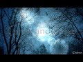 Insomnium-Lose To Night (Lyrics on Video) HD