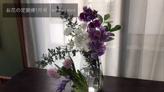 春のお花スイートピーとヒヤシンスを花瓶に活ける方法【おうちフラワー#25】