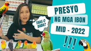 MAGKANO ANG MGA IBON NGAYONG MID2022? Bird Prices in the Philippines | Munting Ibunan