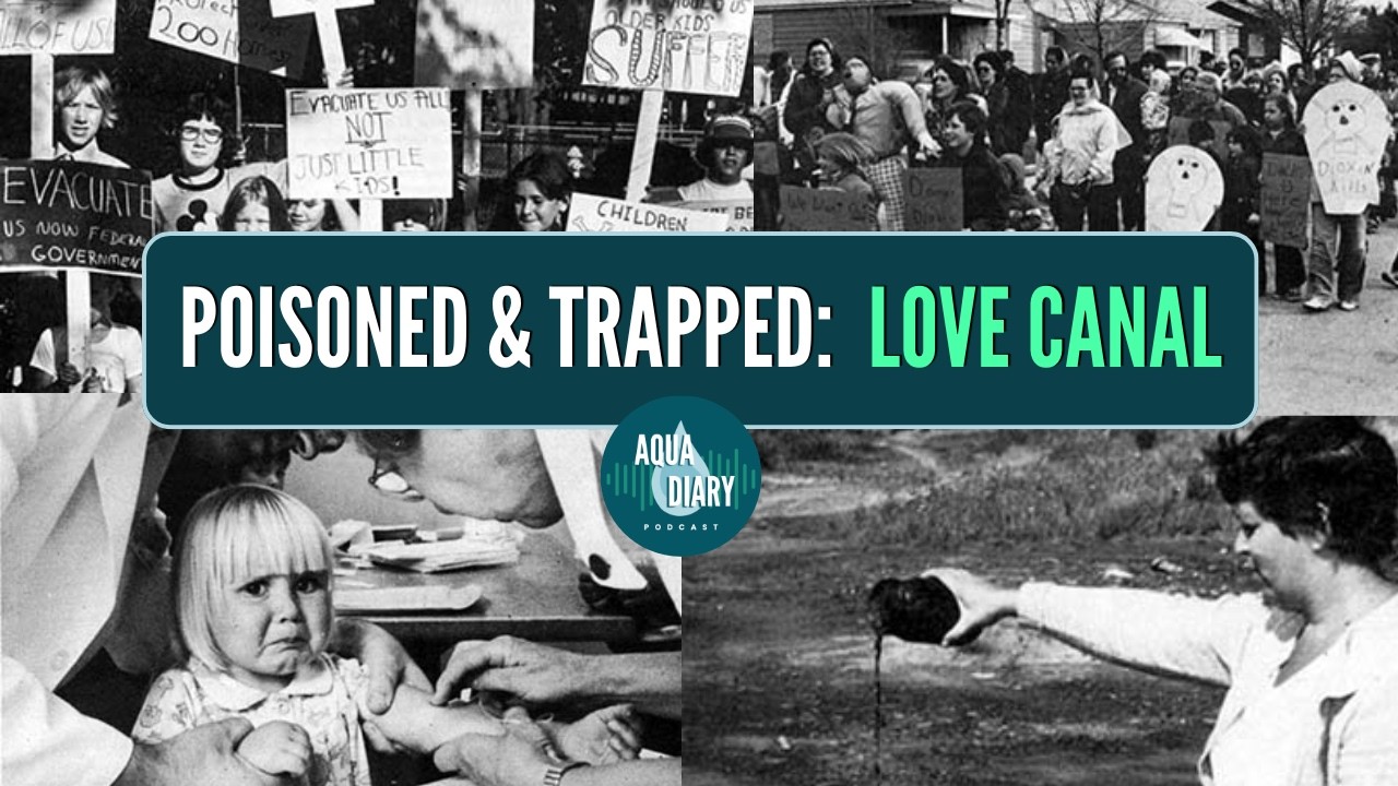 Love Canal Disaster: They Called her Hysterical