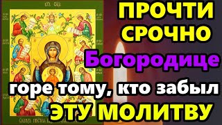 Самая Сильная Молитва Знамение иконе Богородицы о помощи и защите в праздник! Православие