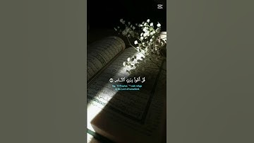 االمعودتان آيات بينات  من الذكر الحكيم  #duet #القرآن_الكريم #quran #لايك