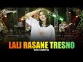 Dike sabrina  lali rasane tresno  feat rastamaniez  official live version 