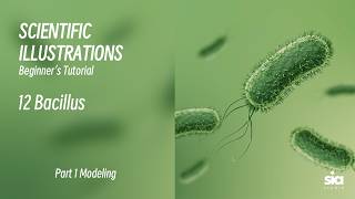 Beginner C4D Tutorial for Scientific Visualization | 3D Modeling Guide | 12 Bacillus