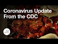 CDC director says coronavirus deaths should start falling next week