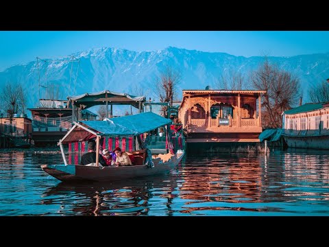 Shikara 🛶Ride at night