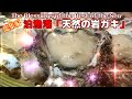 【素潜り漁】富山いち小さい漁協の挑戦！【泊漁港の漁師達】