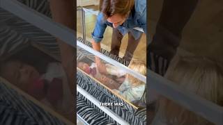 Invisible Kids in Glass Jar Prank 😱 Wife Shocked Instantly! #shorts