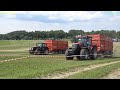 Case IH Puma 200 AFS vs Valtra T189 / Tractor trailer pulling 2022