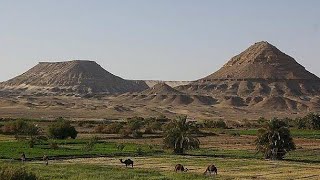 مجروده مرحب بالحومى