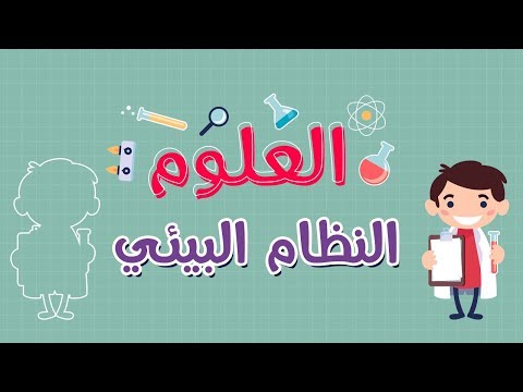 فيديو: ما هو النظام البيئي؟