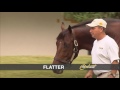 Flatter claiborne farm