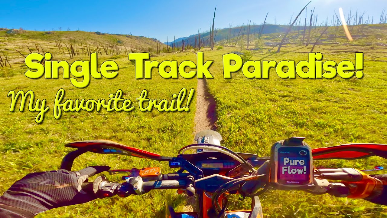 Single track paradise, my favorite Idaho trail!