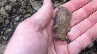 Arrowhead Creek Hunt Kentucky 2/4/19