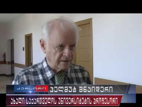 პროფ. ჰელმუტ შნაიდერის ლექცია გ.ვ.ფ. ჰეგელის ესთეტიკის შესახებ