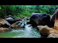White Noise for Studying Nature – Soft Forest Stream to Improve Concentration