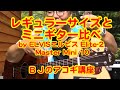 アコギ・レギュラーサイズとミニギターを比べてみました by ELVISエルビス Elite-2 ・ Master Mini 10 ／ 【毎日更新】 BJのウクレレ講座 No.098