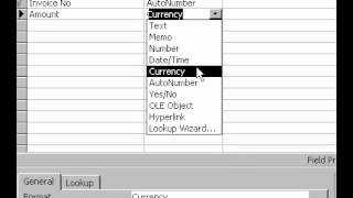 Microsoft Office Access 2000 Currency data types