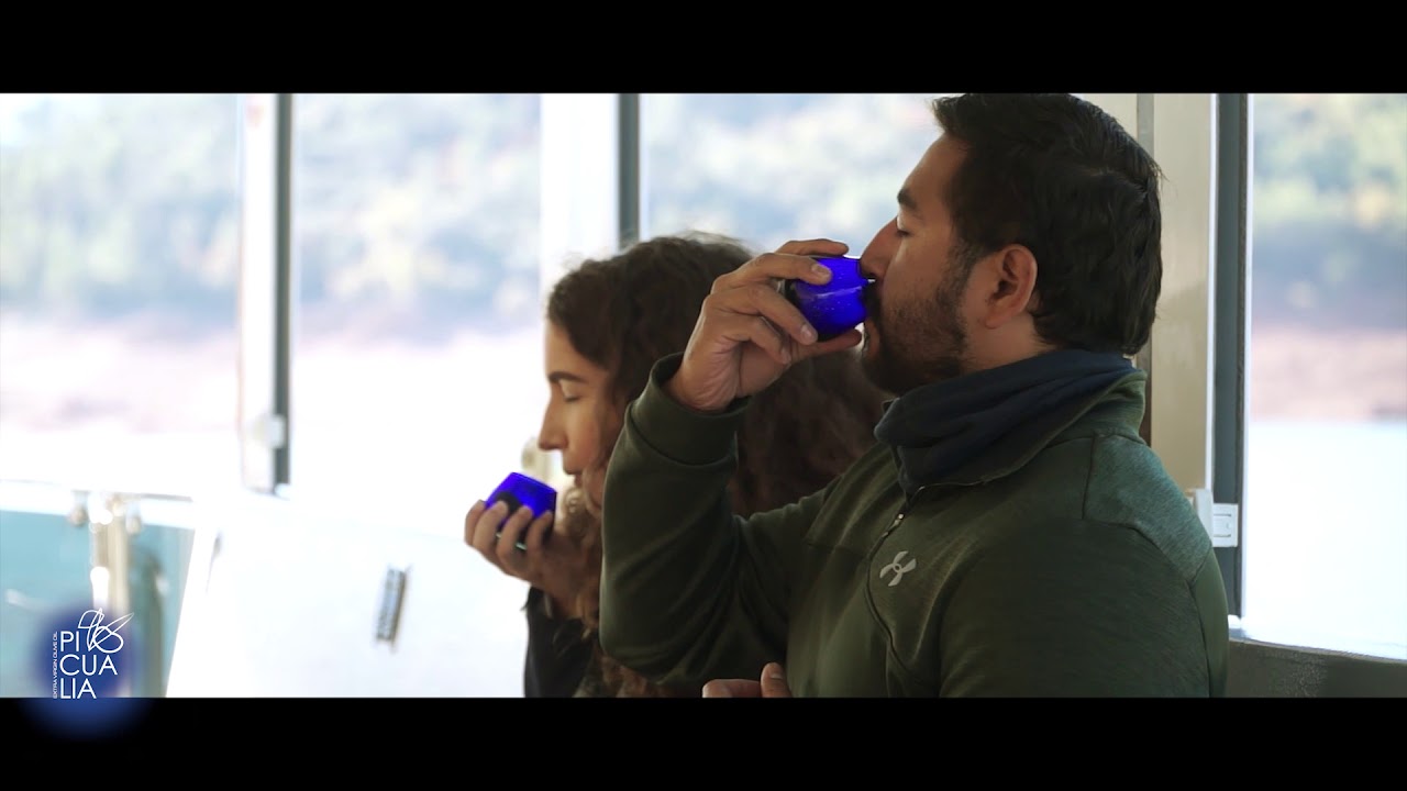 PICUALIA OLIVE OIL TOURISM