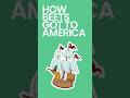 How Beets Got to America #shorts