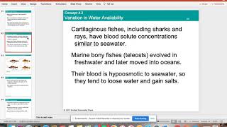 Coping with Environmental Variation 4h