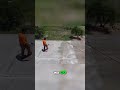 Driveway Cleaning Secrets: Turbo Tip &amp; Segmented Cleaning for Pros