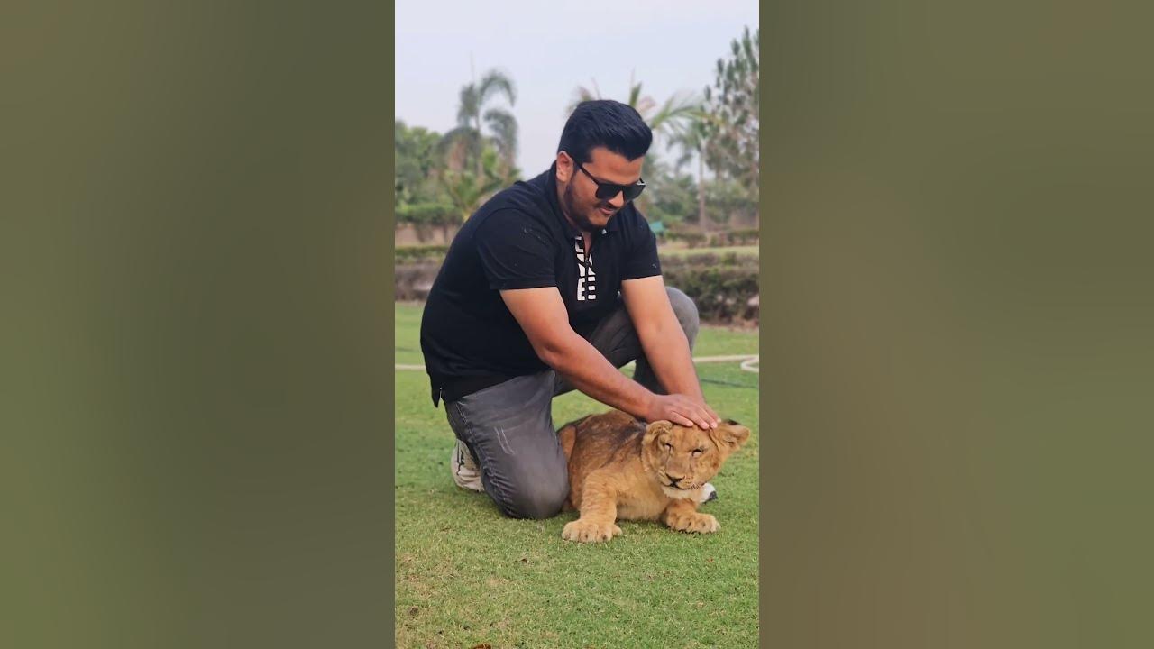 4 Months Old Beautiful Lion Cub | Nouman Hassan | - YouTube