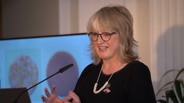 Constructive Disobedience | Lecture | Ruth Morrow | Material Foundations