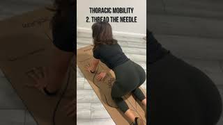 Thoracic Mobility Exercises! [TRY THESE!]