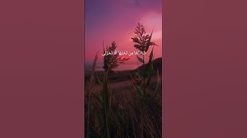 سورة مريم🤍قَالَتْ يَا لَيْتَنِي مِتُّ قَبْلَ هَٰذَا وَكُنتُ نَسْيًا مَّنسِيًّا #قرآن