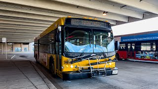 Fairfax Connector: 2010 New Flyer D40LFR #9619 on Route 402 by OrionVII04 419 views 1 month ago 8 minutes, 41 seconds