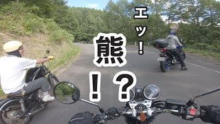 【クジ引きツーリング⑥】 林道で熊と遭遇