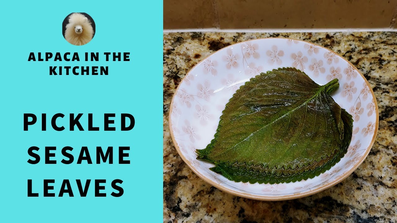 Korean Side DishPickled Sesame Leaves YouTube