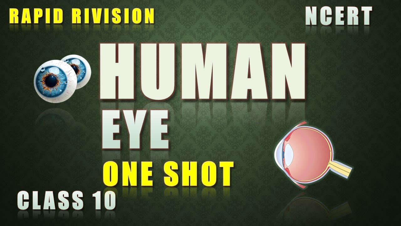 The Human Eye & Color Vision: Explained Simply for Class 10 - YouTube