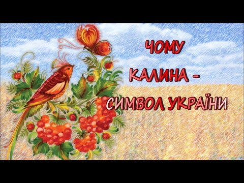 КАЗКА ПРО КАЛИНУ Чому калина - символ. Автор Дубініна В