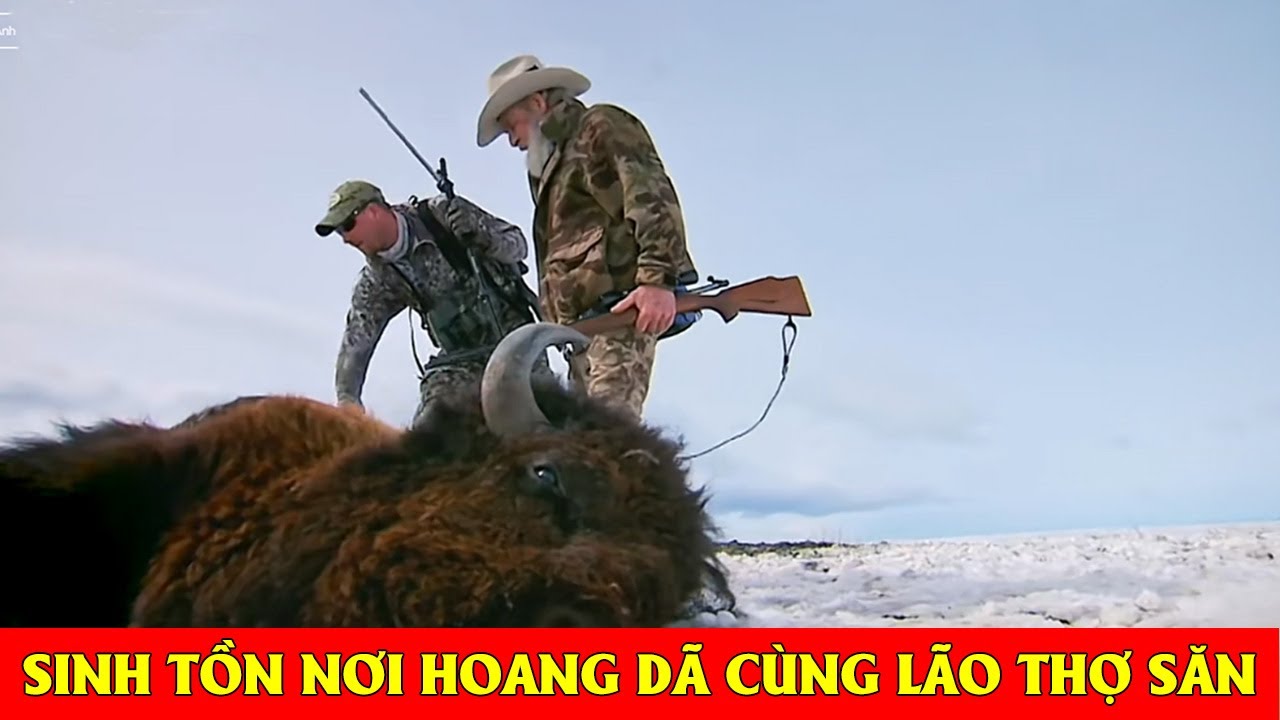 Sinh tồn giữa núi rừng: Săn chồn sói, thuộc da thú, chế tạo thuốc súng và dựng căn nhà gỗ đầu tiên