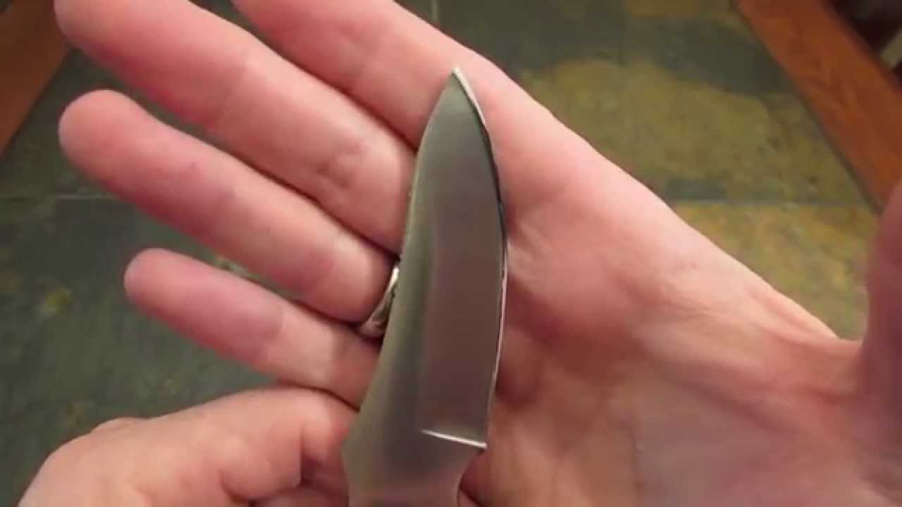 Case Ridgeback Caper Review: Excellence in Form, Function and Utility