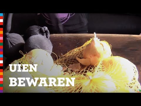 Video: Bevriezen gesnipperde uien goed?