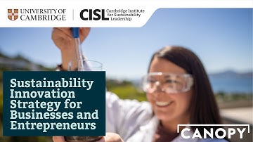 Sustainability Innovation Strategy Trailer: Self-paced Online Course