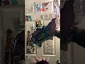 Lore:3 (commissions are open)