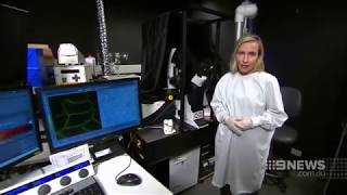 ‘Designer mice’ may increase survival rates for Pancreatic Cancer sufferers