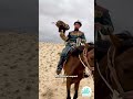 Morning Eagle Hunting Show