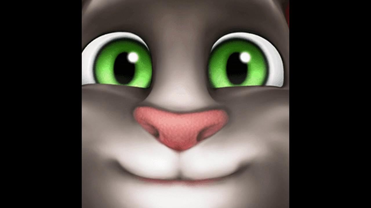 My talking tom 1.2