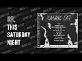 Oniric Cat - This Saturday Night