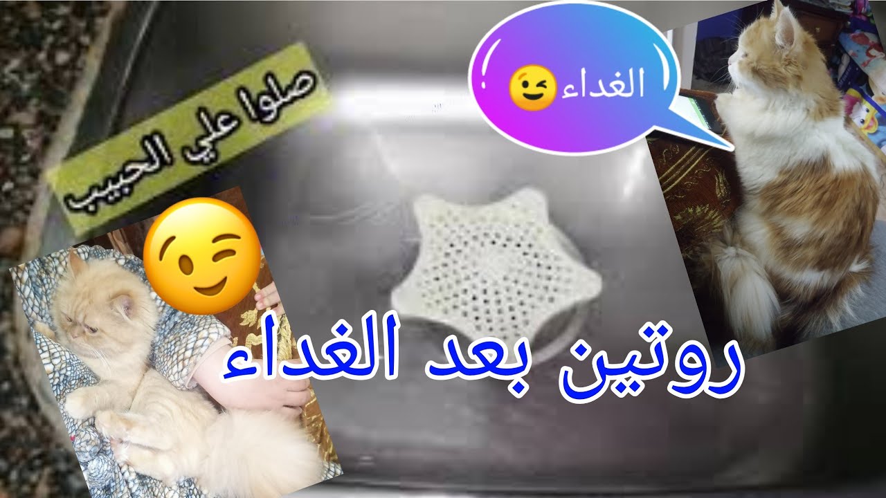 روتين يومي بعد الغداء في مطبخي/كلمه عن جبر الخواطر للنفوس المريضه