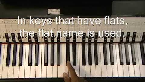 Understanding The BLACK KEYS On Piano - Sharps & Flats - Enharmonic Tones 🎹  @EricBlackmonGuitar