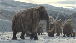 Prehistoric Planet: Ice Age - Woolly mammoths vs Homotherium serum