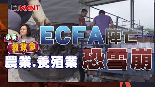 CTWANT 政治爆卦》小英救救命ECFA陣亡　農業、養殖業恐雪崩