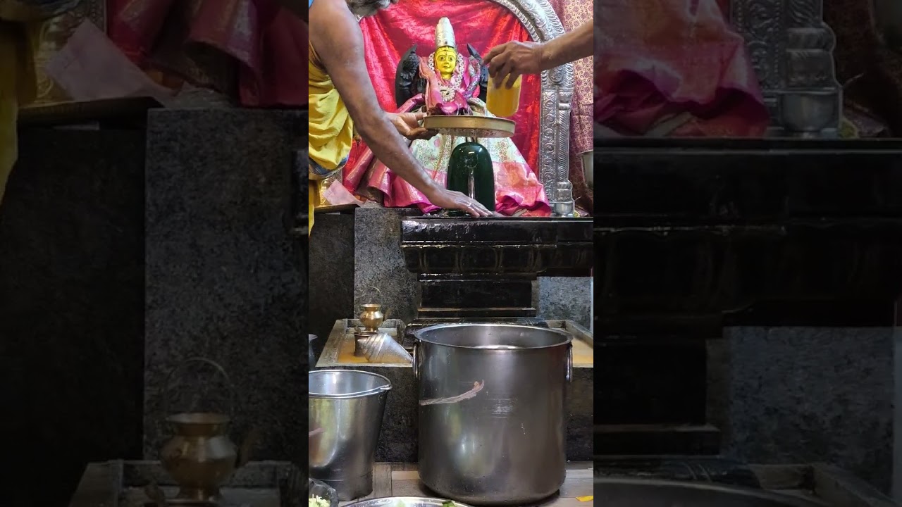 మహా శివ రాత్రి భవానిపురం హౌసింగ్ బోర్డ్ కాలనీ 