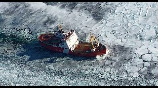 A Griffon In The Ice